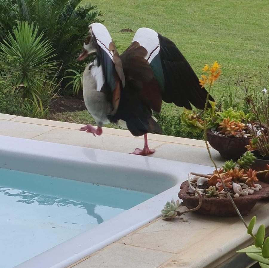 Mackenzies Accommodation East London Bagian luar foto