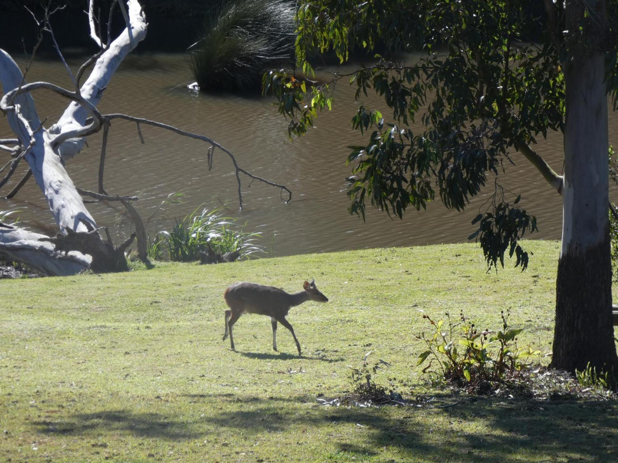 Mackenzies Accommodation East London Bagian luar foto
